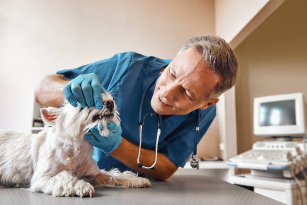 Best Dentist for Tooth Abscess  in Mentor, OH
